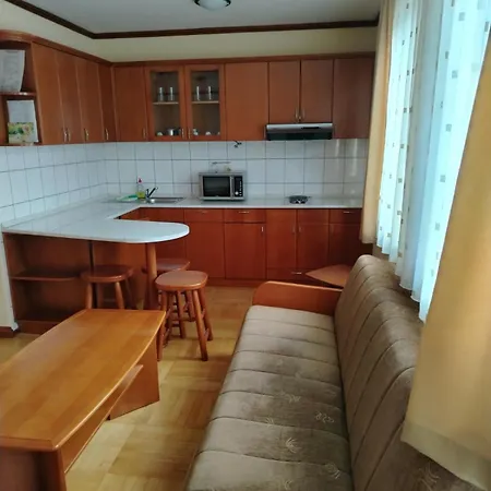 Apartment Beli Bor Vrnjacka Banja