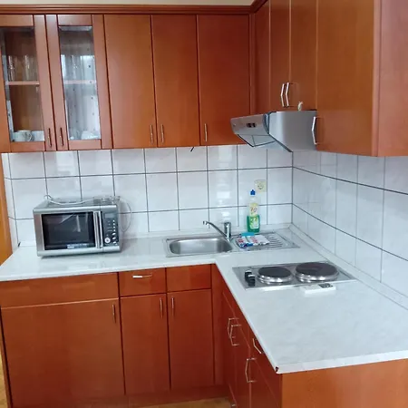 Beli Bor Apartment Vrnjacka Banja